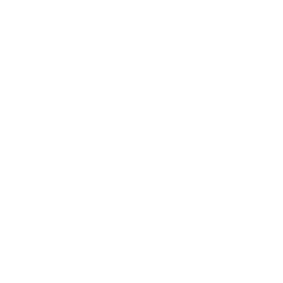 Belief Culture